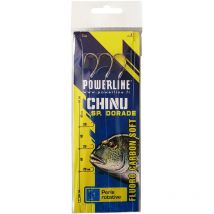 Rig Powerline Chinu Sp. Dorade Bld4
