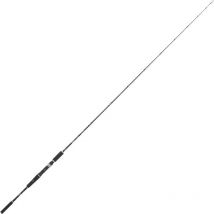 Rod Tubertini Shibani 03908xx