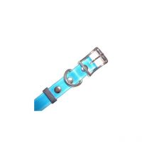 Sangle Numaxes Pour Collier Canicalm Excel. - Turquoise Largeur 18.5mm - Longueur 68cm