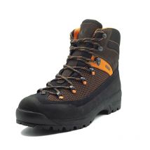 Sapatos Homem Stagunt Nevis Sg005c/m/47