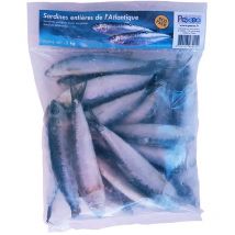 Sardines Entières Atlantique Surgelées Pexeo Eco Ar00202 - Pour Pêche en Mer - Pêcheur.com