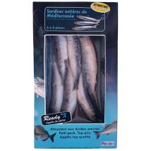 Sardines Entières De Méditerranée Surgelées Pexeo Ready'x Ar00021 - Pour Pêche en Mer - Pêcheur.com