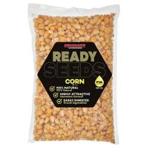 Sementes Preparados Starbaits Ready Seeds Corn 74218