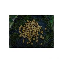 Semi Preparati Poseidon Particles Tigernuts Mix Tmix-2/cp
