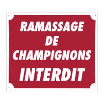 Signalisierungspanneau Europ Arm Ramassage De Champignons Interdit A50876