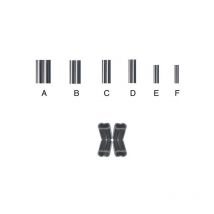 Sleeve Srt X-trend Double Nickele 2x4.2x10mm - Pochette De 8