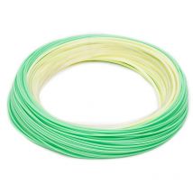 Soie Mouche Rio Streamer Tip Dt5f