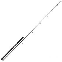 Spinnrute Daiwa Saltiga Casting Saltiga755