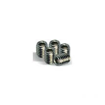 Stainless Screws Carp'o Sthc 191608