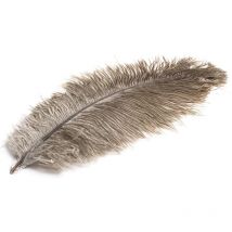 Struzzo Devaux Dvx Aut-02