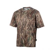 Tee Shirt Manches Courtes Homme Treeland T003 - Roseaux M