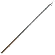 Teleskopische Toc-rute Daiwa Ninja Trout Te Njt430tecf