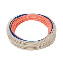 Tête De Ligne Rio Elite Shooting Head Skagit Mini Max Power #4