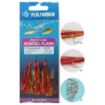 Train De Plumes Mer Flashmer Scintill' Flash 01 - No2