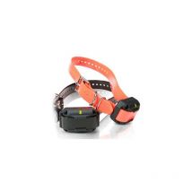Training Collar 2 Dogs Dogtra 1212 Ncp / 3500ncp Orange Color