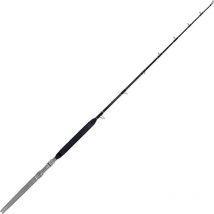 Trolling Rod Colmic Twist Cdtw00