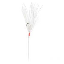 Veren Trein Srt Plumes Blanches Sesan0031-0100bc