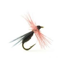 Vlieg Devaux Terrestre B513c Bl B513ch18