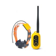 Volledige Verpakking Set Dogtra Pathfinder 2 Mini 171047