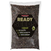 Vorbereitete Samen Starbaits Ready Seeds Hemp 74219