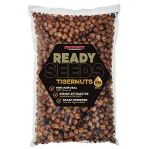 Vorbereitete Samen Starbaits Ready Seeds Tigernuts 74216