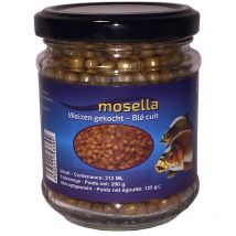 Vorbereitetes Samen Mosella Blé 24673514