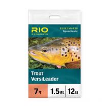Vorfach Rio Versileader Truite 36019-003