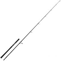 Welsrute Zeck Evo Cat 100243