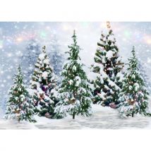 2.1 * 1.5m/ 7 * 5ft Christmas Backdrop Photography Background Portrait Photography Backdrops