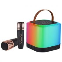 X5 Mini Karaoke Machine Wireless Microphone and Speaker Set with 2 Microphone