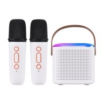 Y1 Mini Karaoke Machine Portable Microphone & Sound Box Set