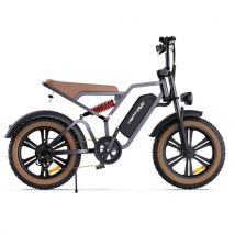 HAPPYRUN TANK G60 Electric Bike 20*4.0 inch Fat Tire 750W Brushless Motor 48V 18Ah Removable Battery Max 68 Miles Pedal Assist Range
