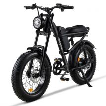ZO IM-J1 Electric Bike 500W 20X4 Inch Fat Tire Electric Mountain Bicycle