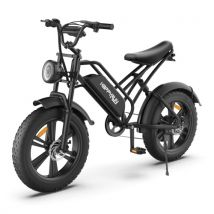 HAPPYRUN G50 E-bike 750W Brushless Motor 20*4.0'' Fat Tire Electric Mountain Bike