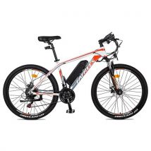 FAFREES 26 Hailong One Electric Bike 36V 250W 10AH Battery Max Speed 25km/h