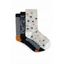 Weird Fish Parade Patterned Socks 3 Pack Dusty Blue Size 4-7