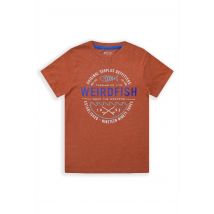 Weird Fish Ripple Kids Eco Graphic T-Shirt Nut Size 11-12