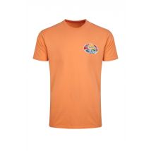 Weird Fish Land and Sea Back Print Graphic T-Shirt Pumpkin Size S