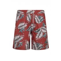 Weird Fish Belukha Printed Swim Shorts  Paprika Size 36