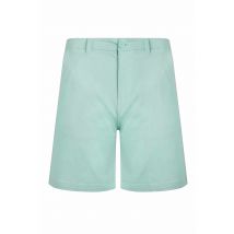 Weird Fish Rayburn Cotton Flat Front Shorts Seafoam Size 30