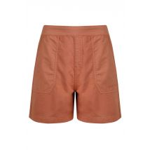 Weird Fish Deeley Ripstop Shorts Auburn Size 20