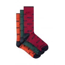 Weird Fish Ronan Branded Bones Sock 3pk Multi Size 7-11