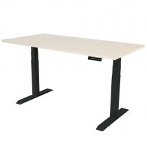 Elektrisch verstelbaar bureau - 160x80 cm - Dual motor - Zwart / Licht