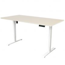 Elektrisch verstelbaar bureau - 160x80 cm - Single motor - Wit / Licht