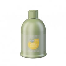 Alter Ego Italy SILK OIL Shampoo 300ml