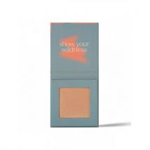 Paese X Cocolita Dewy Sunrise Highlighter 9g