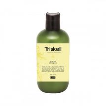 Triskell Botanical Treatment Anti Hair Loss Energy Shampoo 300ml