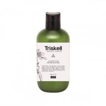Triskell Botanical Treatment Volumizing Conditioner 300ml