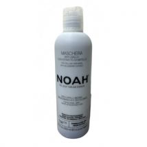 Noah 2.6 Anti-Yellow Hair Mask With Blueberry Extract 250ml