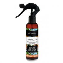 Acappella Home Fragrance Spray Gingerbread